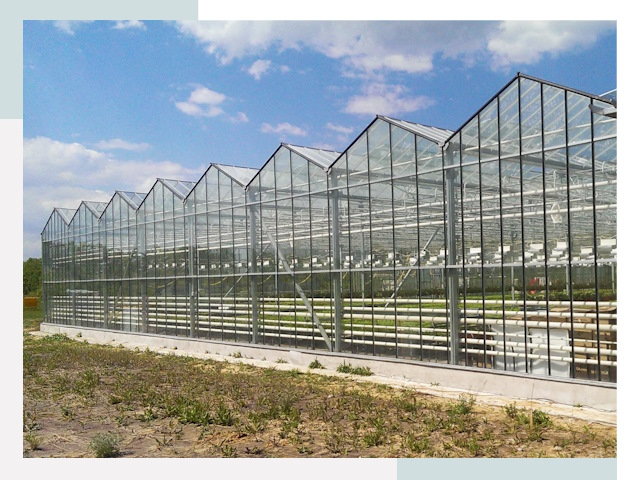 Строительство теплиц в Серов от 612 руб. за м²